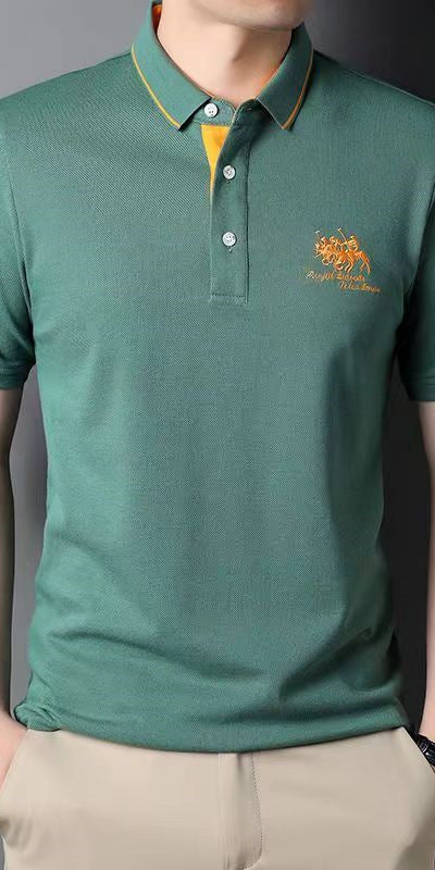 Polo homme grande taille, manches courtes, col à revers, brodé, style business casual, tenue idéale pour homme d'âge moyen.