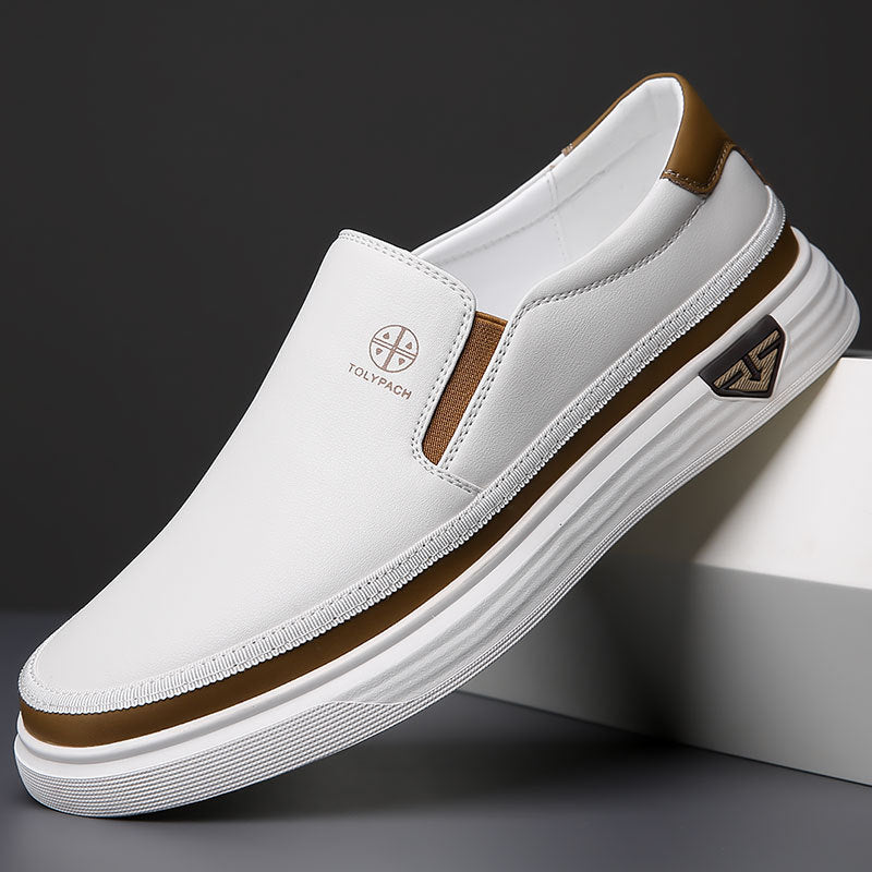 Collection Sneakers