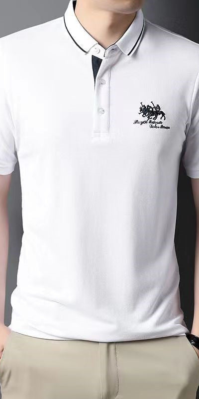 Polo homme grande taille, manches courtes, col à revers, brodé, style business casual, tenue idéale pour homme d'âge moyen.