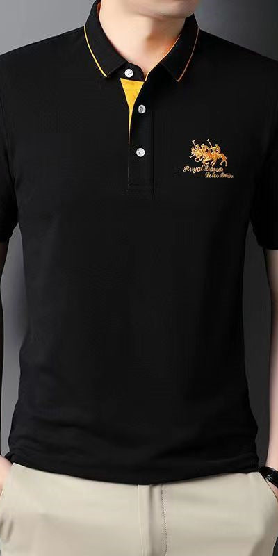 Polo homme grande taille, manches courtes, col à revers, brodé, style business casual, tenue idéale pour homme d'âge moyen.